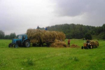 Жители сел осуществляют заготовку сена в Закарпатской области