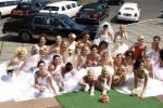 В Ужгороде состится Парад невест и Свадебная Ярмарка