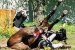 В Хустском районе лошадь сбросила младшего наездника