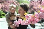 Мамы вместе с малышами радуются цветению сакуры в Ужгороде