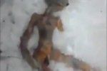 Сенсационная находка : двое россиян откопали в снегу тело пришельца
