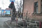 В Ужгороде пни от деревьев становятся "украшением" улиц