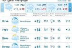 В Ужгороде днем ожидается дождь, к вечеру опять прояснится