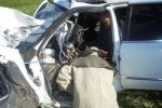 В Запорожской области "Ford Skorpio" влетел в дерево