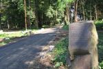 В Ужгороде власти занялись восстановлением парка Под замком