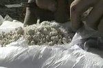 На Закарпатье милиция изъяла у наркодельцов полтонны наркотиков