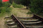 В Ужгородском районе зафиксировано 12 случаев краж на железной дороге