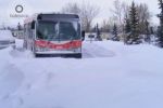 В Англии россиянин откопал из снега автобус