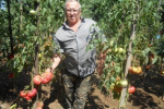 Михайло Майструк займається і садівництвом, і городництвом