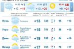 В Ужгороде утром, днем и вечером ожидается дождь