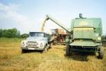 В Ужгородском районе приступили к уборке урожая озимых зерновых