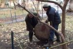 В Ужгороде словили 51-летнего бездельника с крышкой от люка