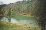 В Закарпатье от июньской жары лучше спрятаться в лесу, чем утонуть в пруду