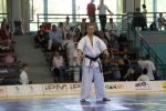 В Венгрии прошел чемпионат мира по киокушинкай каратэ