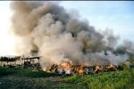 В Ужгороде налоговик сжигает мусор и "строит" милицию, экологов и пожарных