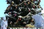В центре Ужгорода торжественно зажгут огни новогодней елки