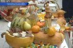 В Ужгороде открыли выставку полезных продуктов