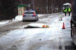 В Польше Daewoo Lanos сбил человека на пешеходном переходе
