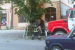 В Ужгороде пожарные тушили дерево, заполненное мусором