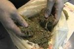 "Зеленый коридор" в Ужгороде не спас закарпатца от контрабанды марихуаны