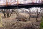Боздошский парк в Ужгороде готовят к новому сезону