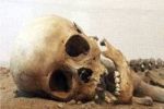 В Виноградовском лесу нашли скелетированный труп женщины
