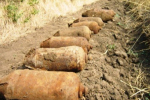 В Воловецком районе местный житель нашел 13 минометных мин