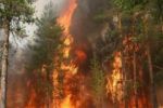 За минувшие сутки в Закарпатье произошло 24 пожара