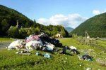 На Закарпатье некому убрать мусор в Карпатах, кроме волонтеров?