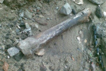 На Ужгородській викопали гору кісток, імовірно людських.