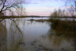 Наводнение в Закарпатье, начинает подтоплять дороги и поля