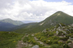 Скауты расчистят экологические маршруты вокруг горы Говерла
