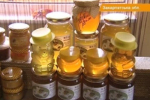 В Закарпатье недобор меда, - погода помешала пчелиному труду