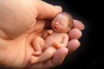 В Ужгороде открыли 22-й Центр помощи новорожденным «Колыбели надежды»