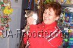 На спрос котов в Мукачево отреагировали и специализированные магазины