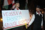 Демонстрации в Венгрии были реакцией на избиение словацкими полицейскими венгерских болельщиков в Дунайской Стреде