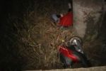Двое людей погибли в Николаеве в дорожно-транспортных происшествиях на мопедах