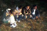 Пограничники задержали нелегалов из Афганистана на окраине города Чопа