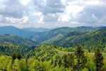 Полонина Руна – гірський масив, що розташований у Закарпатській області