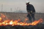 МЧС Закарпатья : за последствия выжигания сухой травы пора наказывать