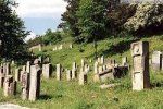 В Ужгороде 20 га земли около украинско-словацкой границы выделят под кладбище