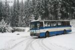 На трассе Херсон - Николаев в автобусе умерла женщина
