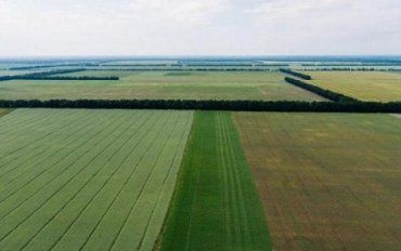 От Зеленского через петицию требуют отсрочить запуск 2-го этапа земельной реформы