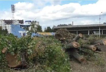 Срубленные деревья: Что будут строить возле "Авангарда" в Ужгороде?