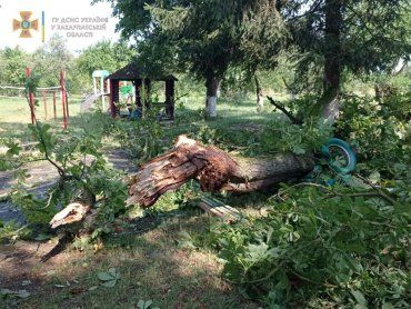 Безумный ураганный ветер пронесся в Закарпатье: Летали деревья, затапливало дома и исчезало электричество