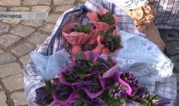 В Ужгороде уже массово торгуют редкими первоцветами