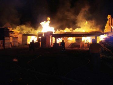 Осветило всё небо: Масштабный пожар не на шутку напугал целое село в Закарпатье 