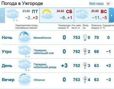 23 февраля в Ужгороде будет пасмурная погода, мелкий снег