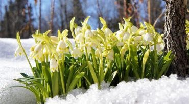 Якою буде сьогодні, 14 лютого, погода на Закарпатті? 
