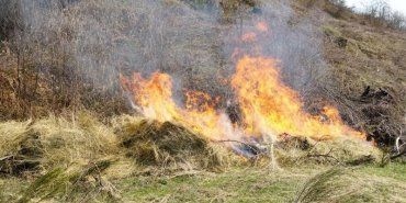 Закарпаття. Пожежники боролись з вогнем який ледь не знищив лісовий масив на Тячівщині